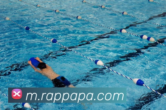 pa真人视讯APP 封面图